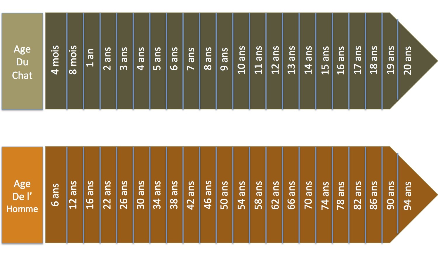 Comparaison des ages e1375437002245