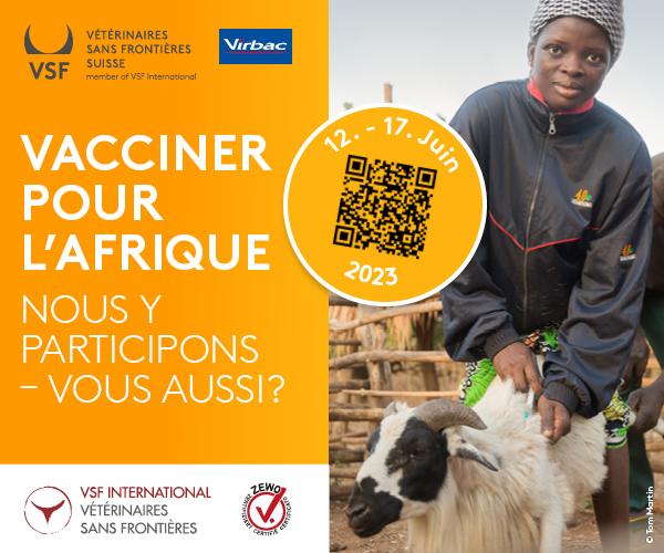 Vsf banner ads 2023 june fr 600x500